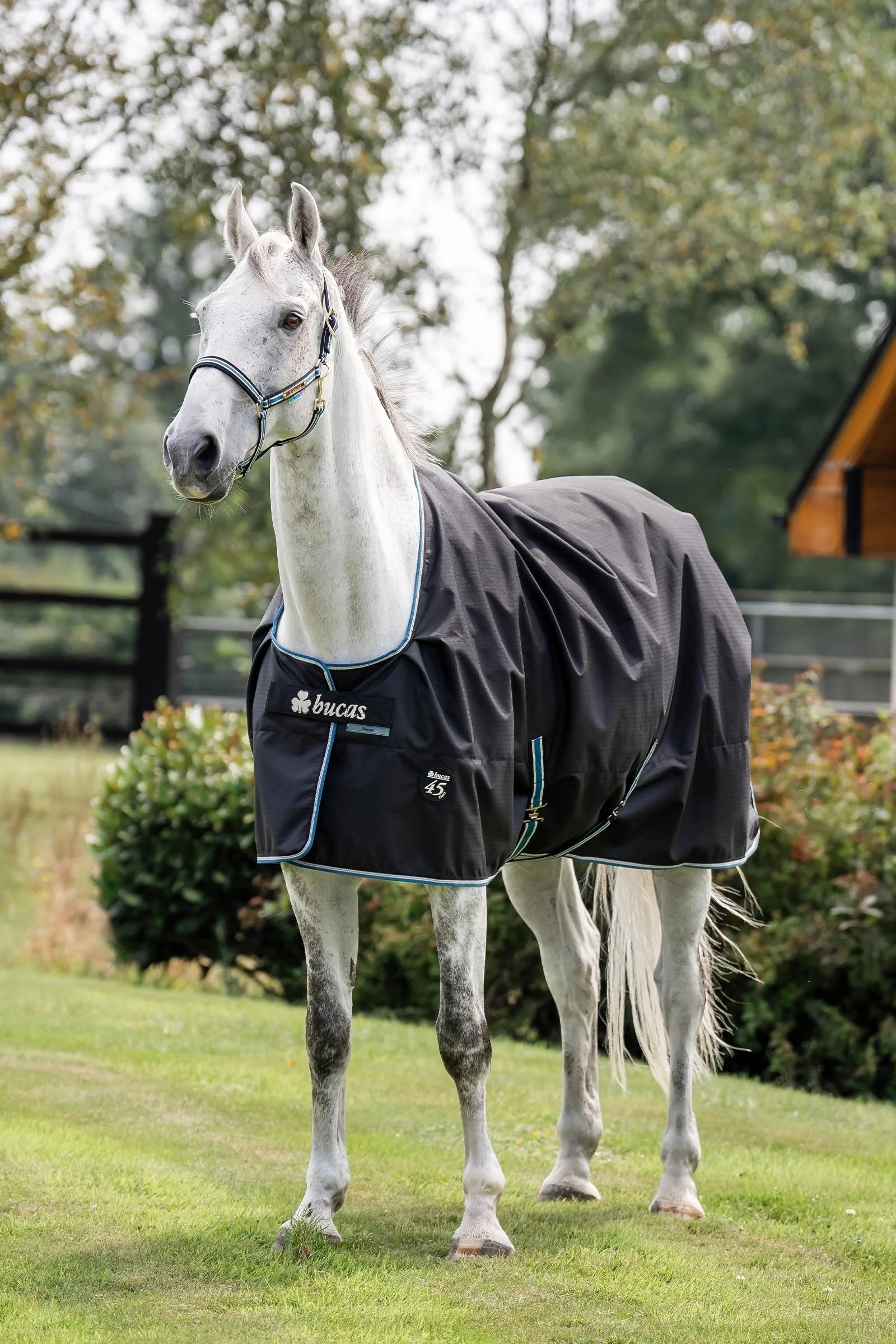 Derka padokowa Bucas Anniversary Turnout 50 g SF AW26 Sapphire
